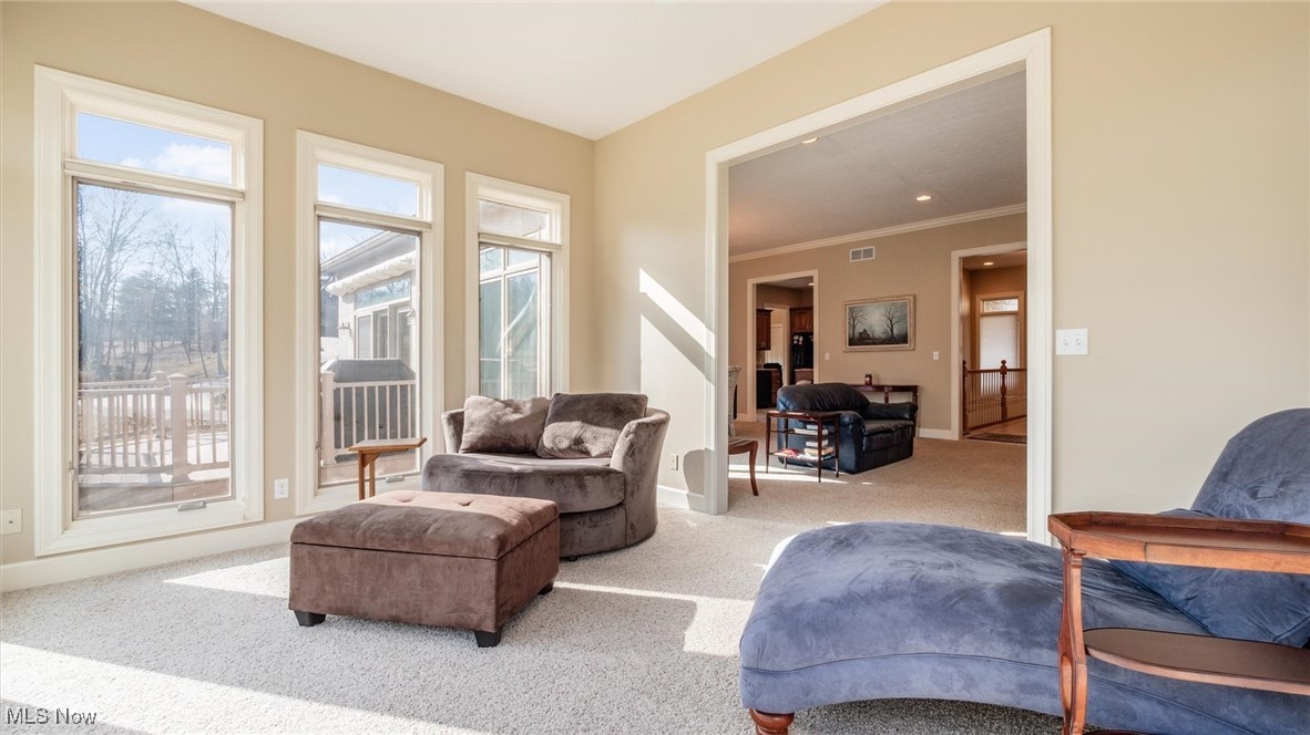 Village At Joes Run - Residential