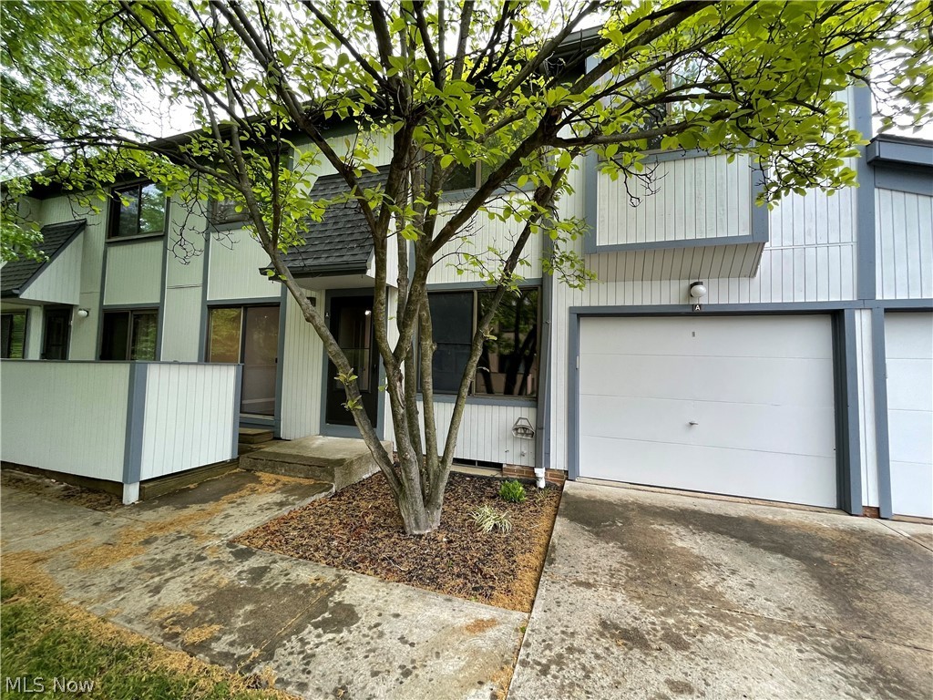 Big Turtle Condo 4 - Residential