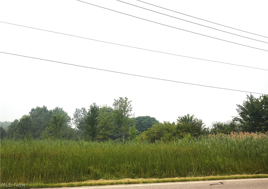 Township/Madison 04 - Land