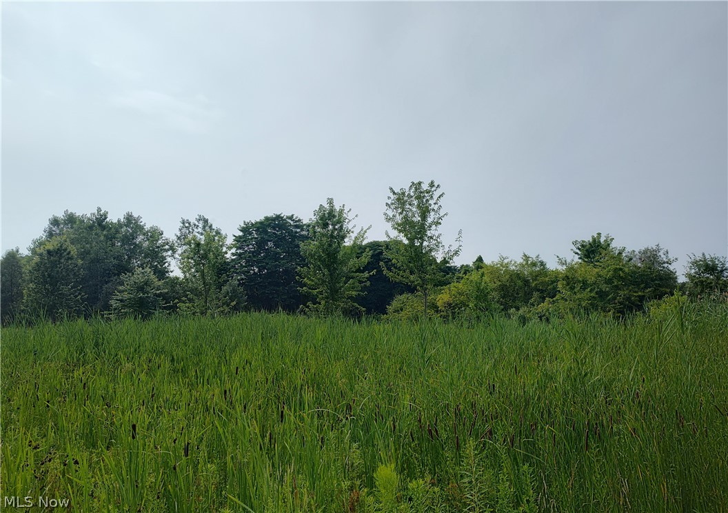 Township/Madison 04 - Land