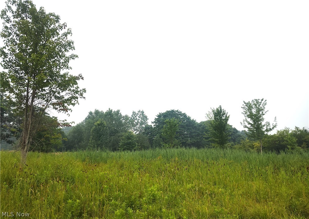 Township/Madison 04 - Land