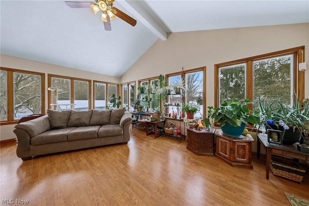 Township/Braceville Sec 19 - Residential