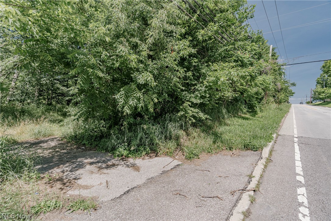 Wadsworth - Land