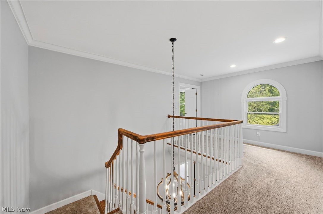 Remsen Chase - Residential