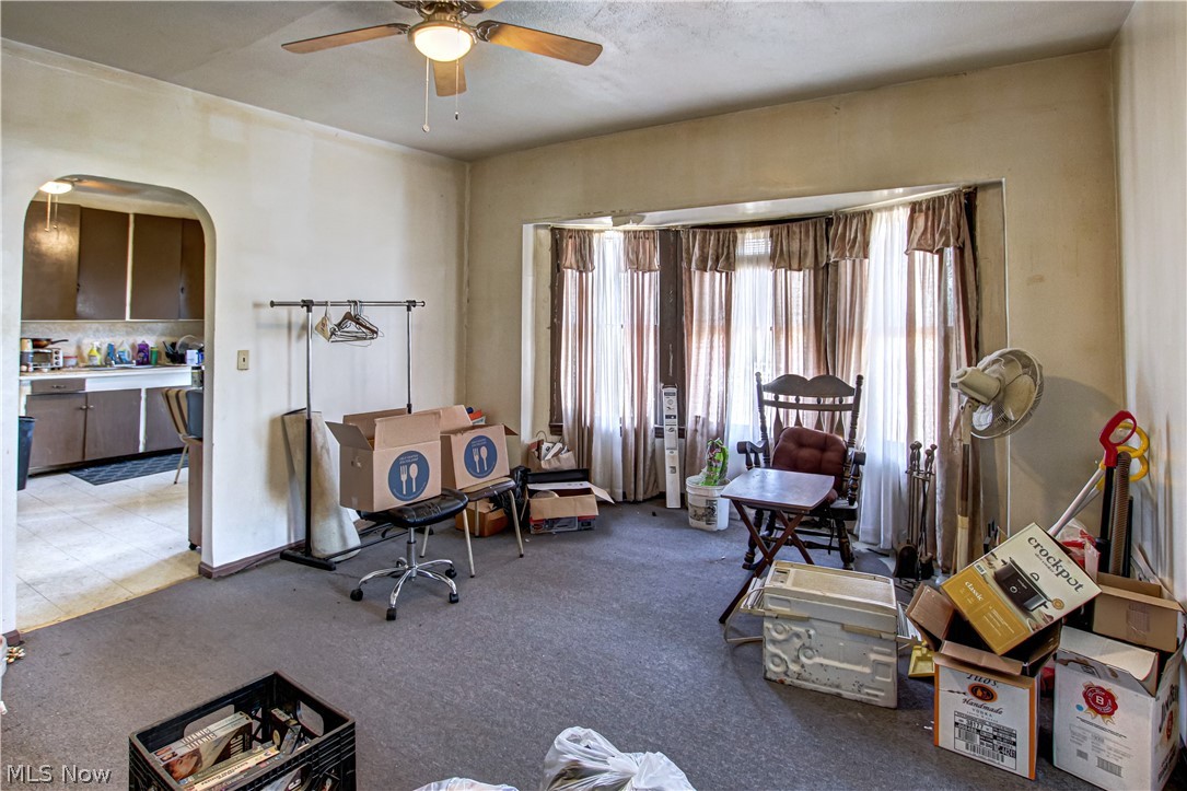 Collins Allotment - Commercial Sale