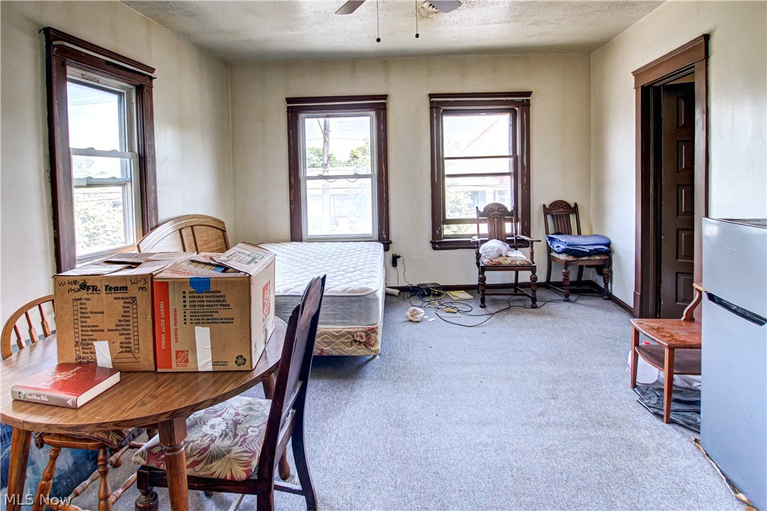 Collins Allotment - Commercial Sale