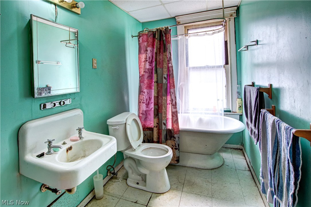 Collins Allotment - Commercial Sale