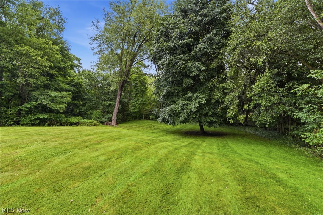 Ghent Road View Acres - Residential