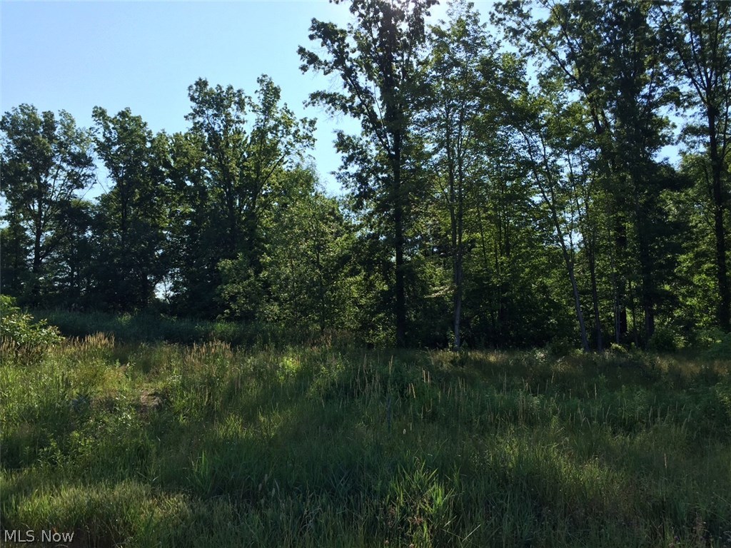 This is the VERY LAST AVAILABLE LOT in this beautiful subdivision! Lot is cleared, and ready to build on! Quiet cul de sac setting in a neighborhood of great homes. Rear of lot is wooded and private. Underground utilities!  County sewer and water. Convenient to Rootstown Local schools and only 5 minutes from NEOMED - Northeast Ohio Medical College. Only 5 minutes to Interstate 76. There are no restrictions on when you must build.  Buy the lot now and build when you are ready or get started right away!