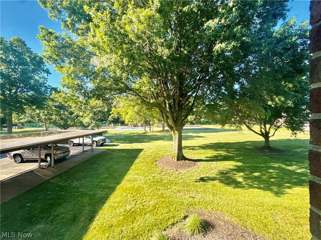 Terrace North Condo - Residential