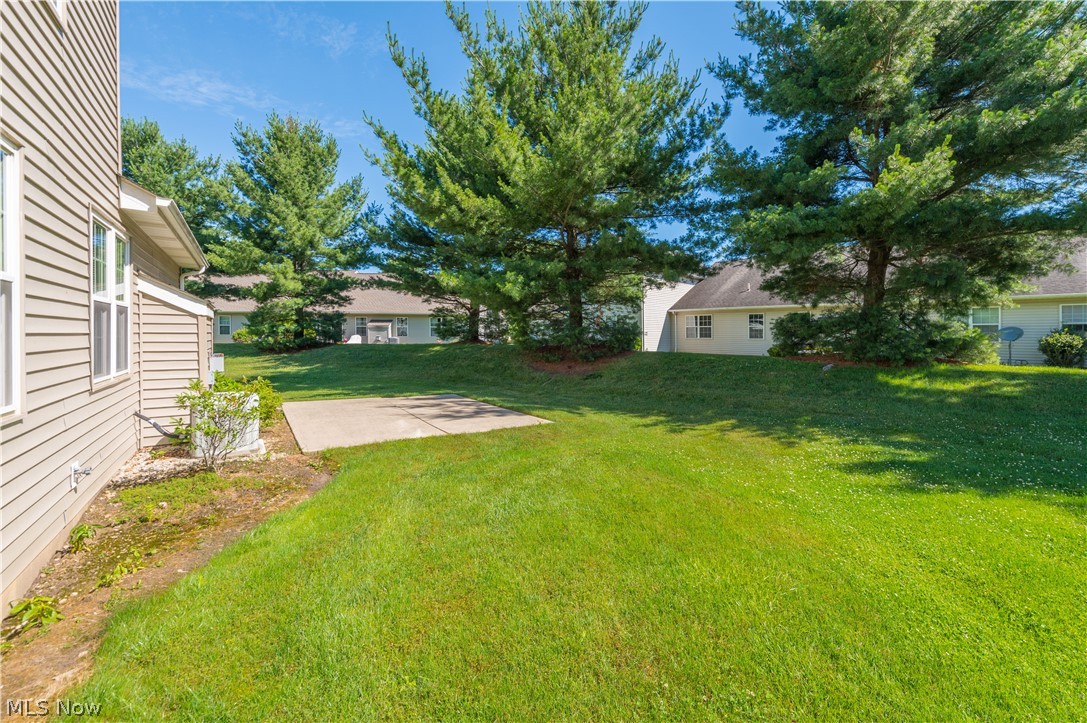 Falls Condo - Residential