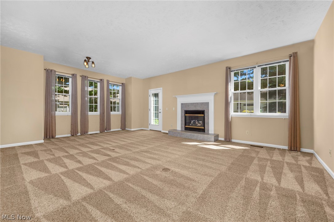 Falls Condo - Residential