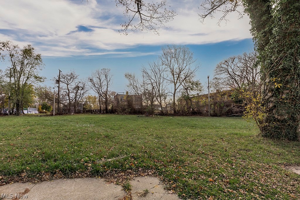 Vacant land for your use.