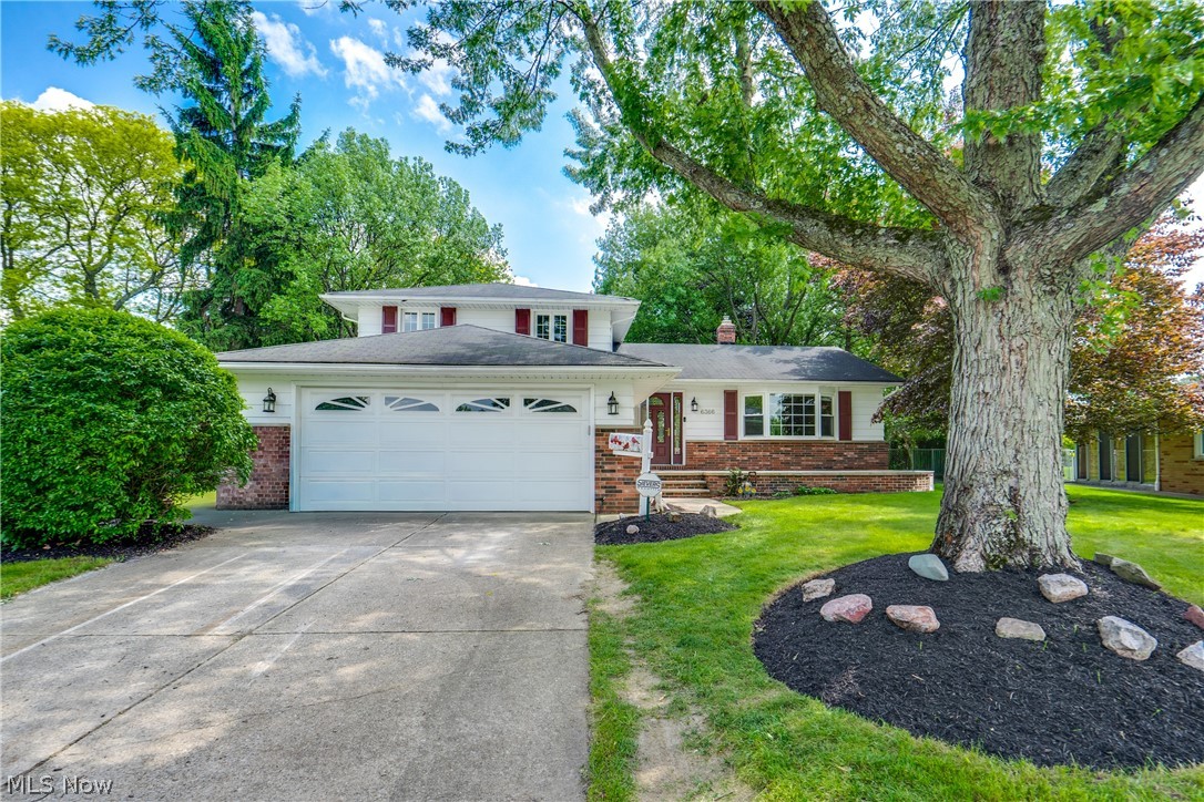 Welcome to this fully remodeled  4-bedroom split-level in a prime Mayfield Heights neighborhood offers the space and layout today’s buyers crave. The intelligent design features a bright, open main floor, ideal for entertaining. Retreat to the upper level's large bedrooms or utilize the finished lower level as a fourth bedroom, recreation room, or private office. The addition of a second full bath on this level adds significant convenience. Car enthusiasts and DIYers will love the over-sized 2.5-car garage, a unique find for this home style. Enjoy the spacious outdoor yard and easy access to the highly-rated Mayfield City Schools and major commuter routes like I-271. This is a rare opportunity to own a home in a sought-after community.