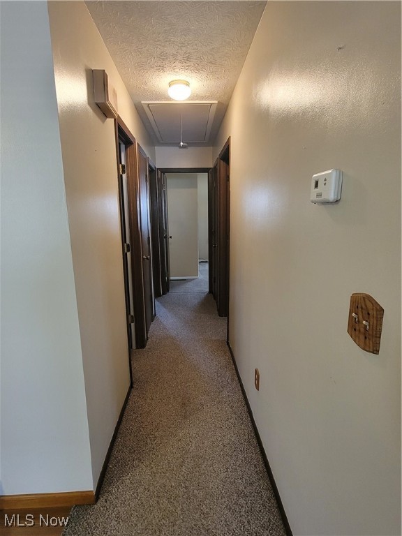 Chestnut Ridge Heights Sub - Residential