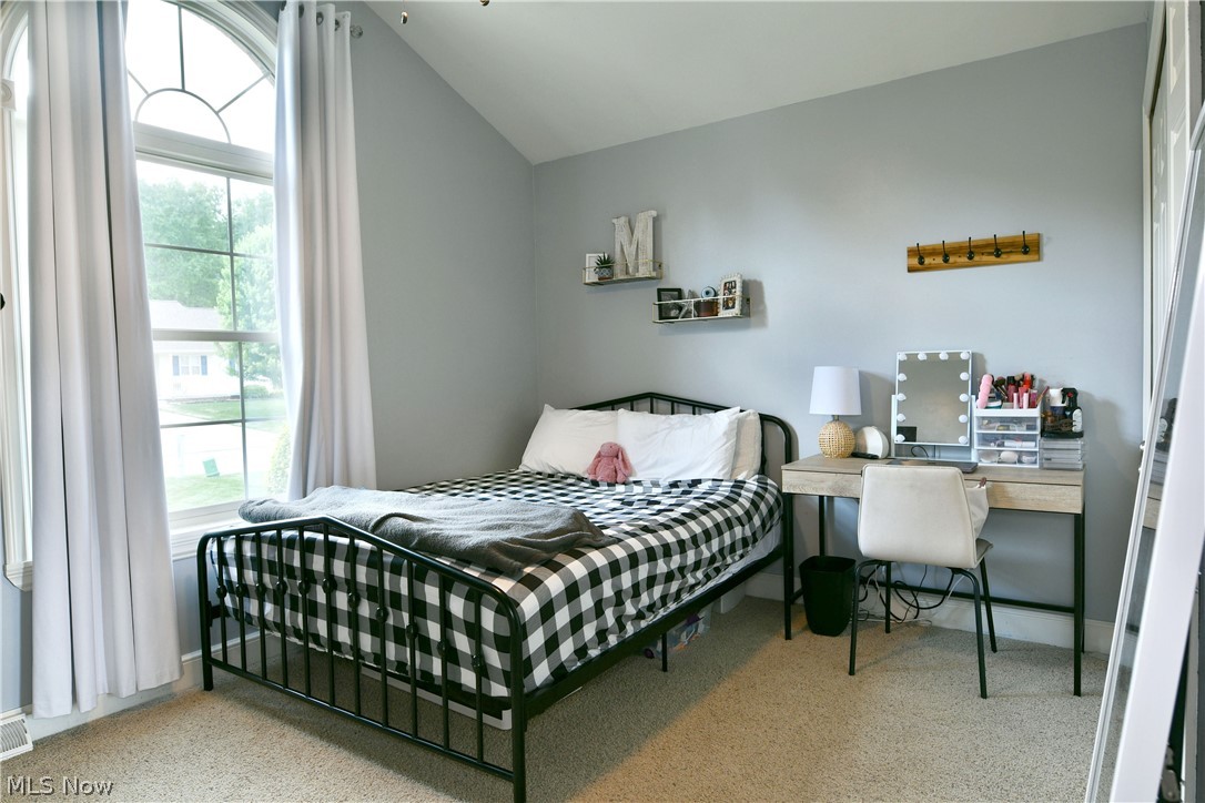Birch Run Dev - Residential