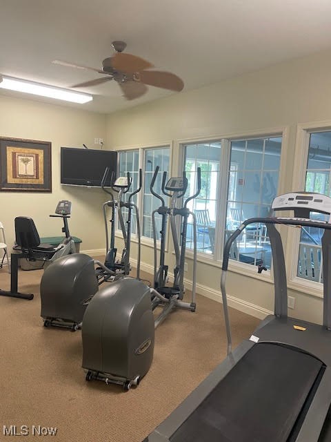 Noras Glen Condo - Residential