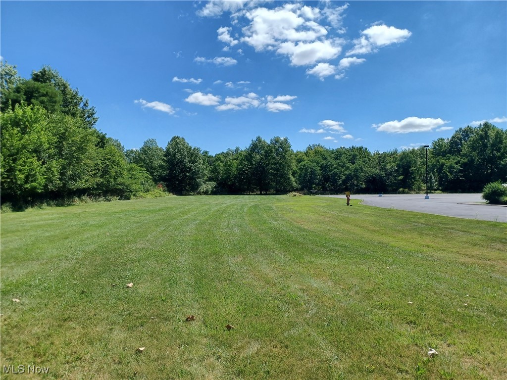 Prime Development Opportunity in Middleburg Heights!
Unlock the potential of Approximately 6 acres of vacant land in a highly desirable Middleburg Heights location! Parcel will be split out
of current 9.7 acre lot. Presently zoned Public Facility, with the possibility of rezoning to R2F (Two-Family/Townhomes,etc.), this L-shaped lot offers endless development opportunities. Featuring 150 feet of frontage on Fry Road, this site provides easy access to major roadways, shopping, dining, and other key amenities. Whether you're an developer or builder, this is your chance to bring a
new residential vision to life in a thriving community.