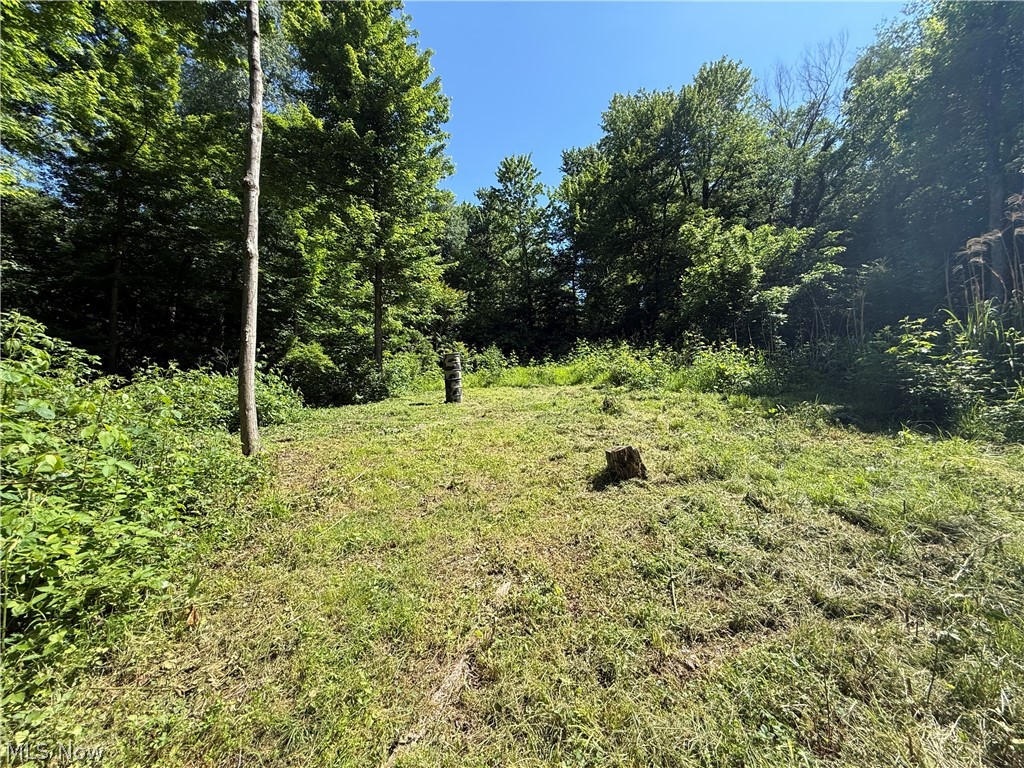 Ransom Swayne & Medberry Add - Land