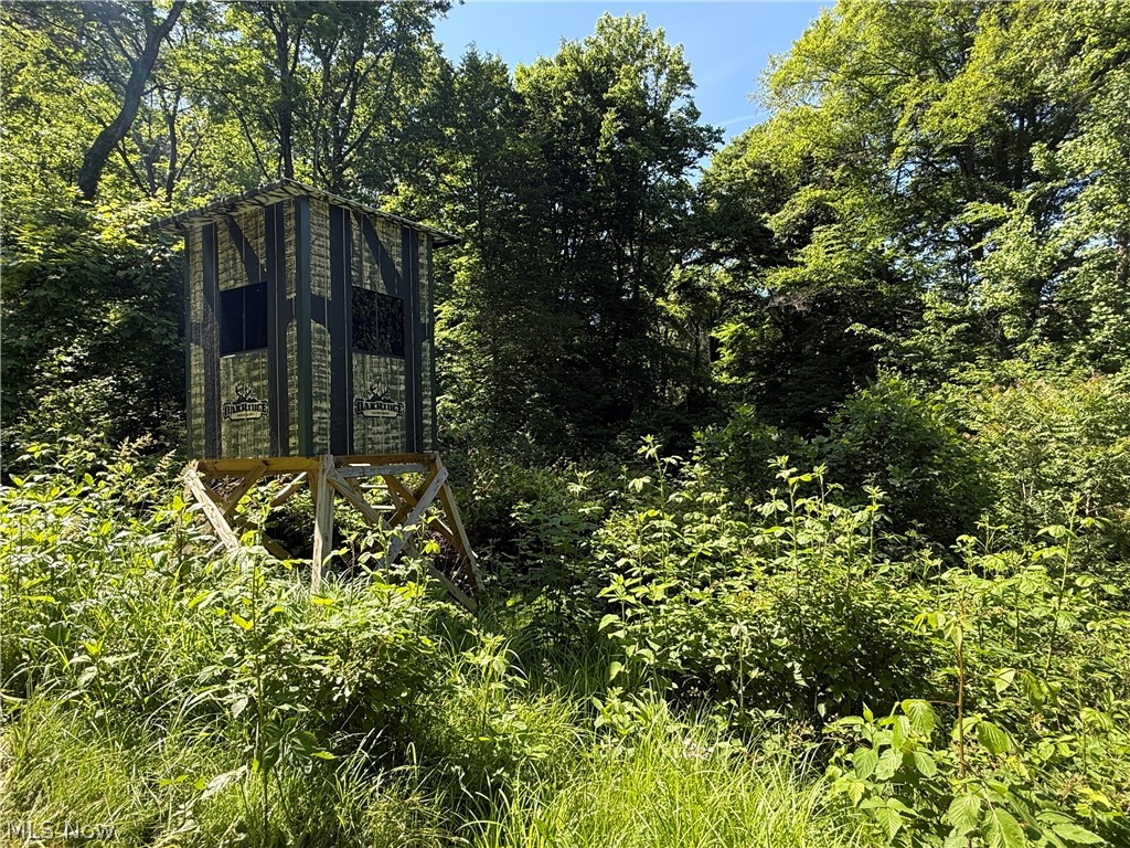 Ransom Swayne & Medberry Add - Land
