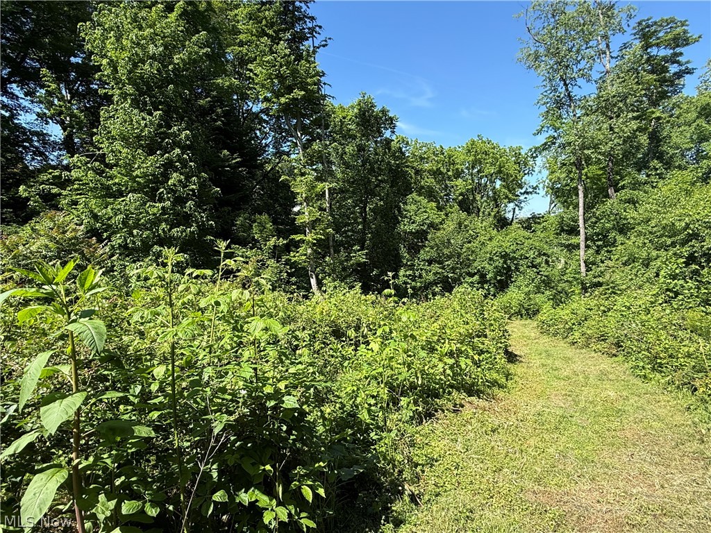 Ransom Swayne & Medberry Add - Land