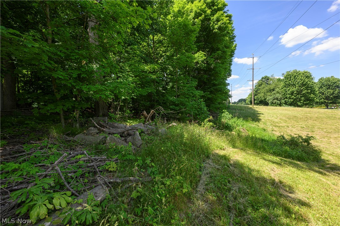 Arbour Green - Land