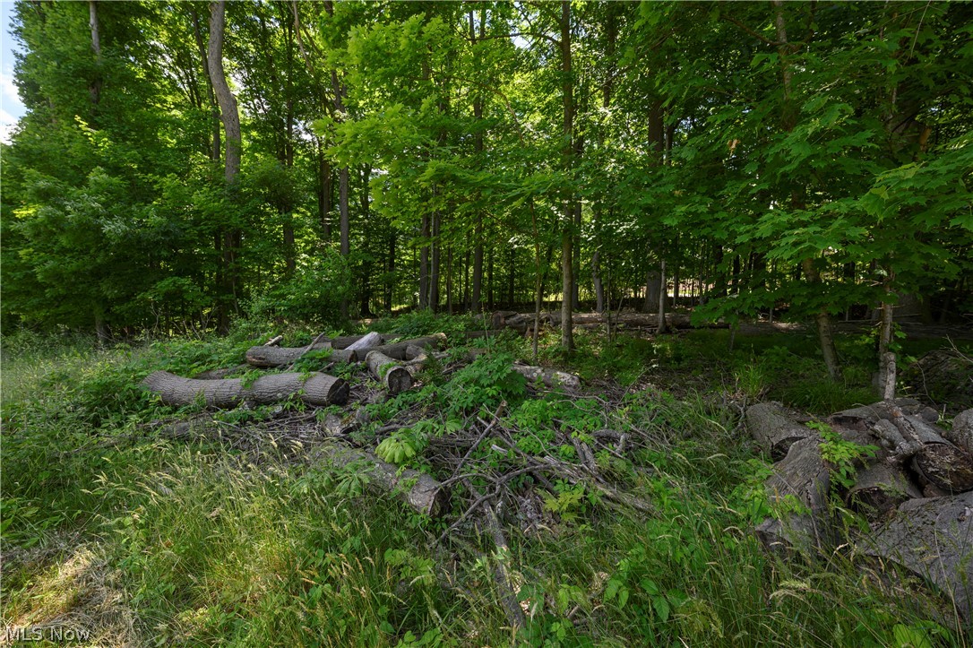 Arbour Green - Land
