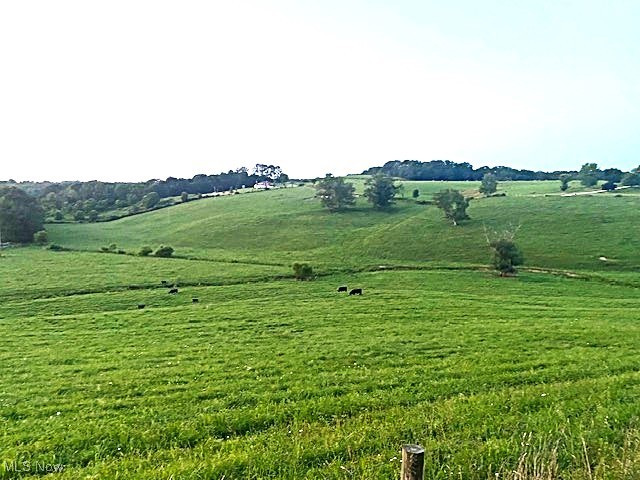 Outstanding 60 Acres close to Belmont Ohio on St. Rt. 149 and Twp.92 Bark Camp Park Rd. This Gently rolling pasture is ready for your cattle, horses, goats, lamas, or crops.  Picture the Custom Country Home with Acreage that you have always dreamed of building. The Electric & County water are along Bark Camp Park Rd. The sewer would need to be septic. The peaceful, calm serenity of Country living yet close to Bark Camp State Park for Fishing, Kayaking, Camping, Swimming, & Picnicking. The property is minutes from I-70.