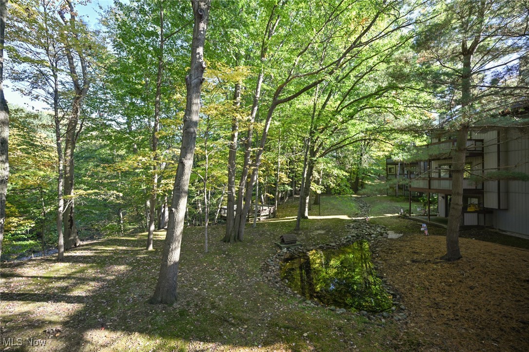 Pine Mill Ridge Condo 2 - Residential
