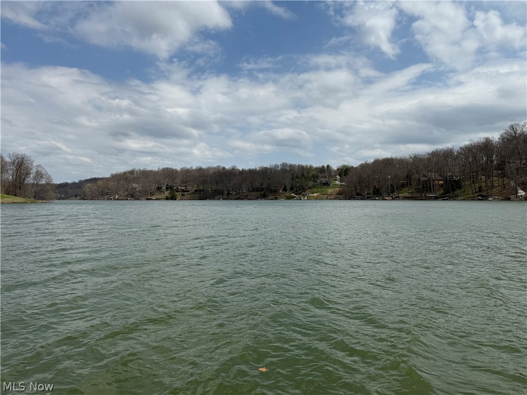 LAKE BUCKHORN - Land