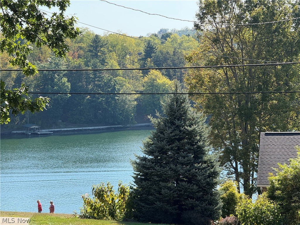 LAKE BUCKHORN - Land