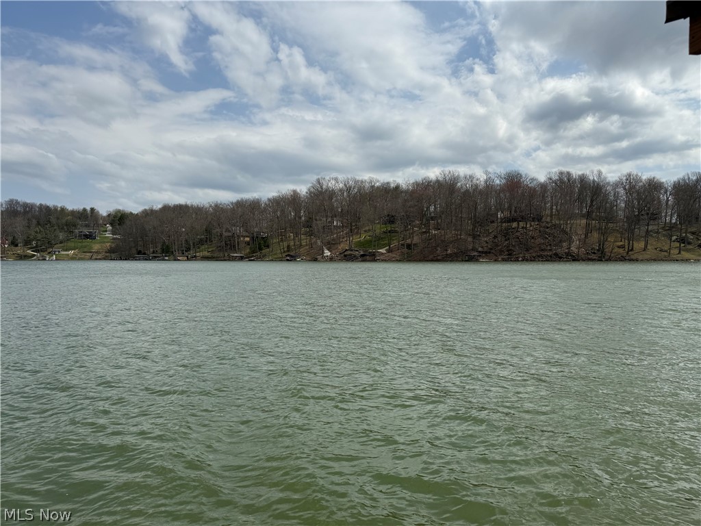 LAKE BUCKHORN - Land