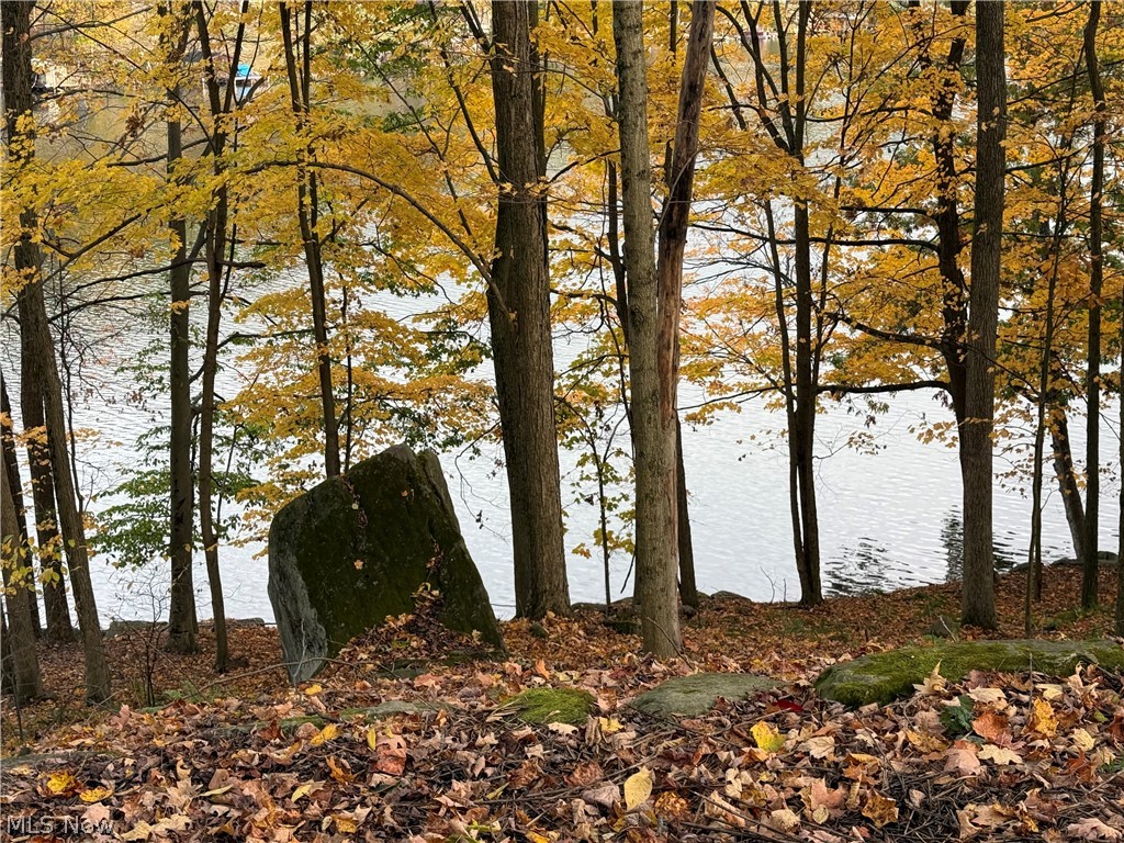 LAKE BUCKHORN - Land