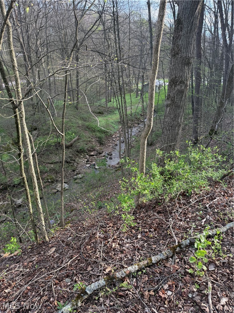 LAKE BUCKHORN - Land