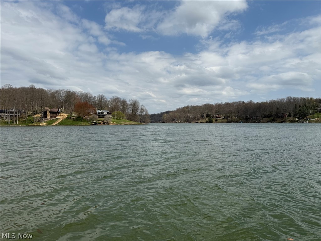 LAKE BUCKHORN - Land