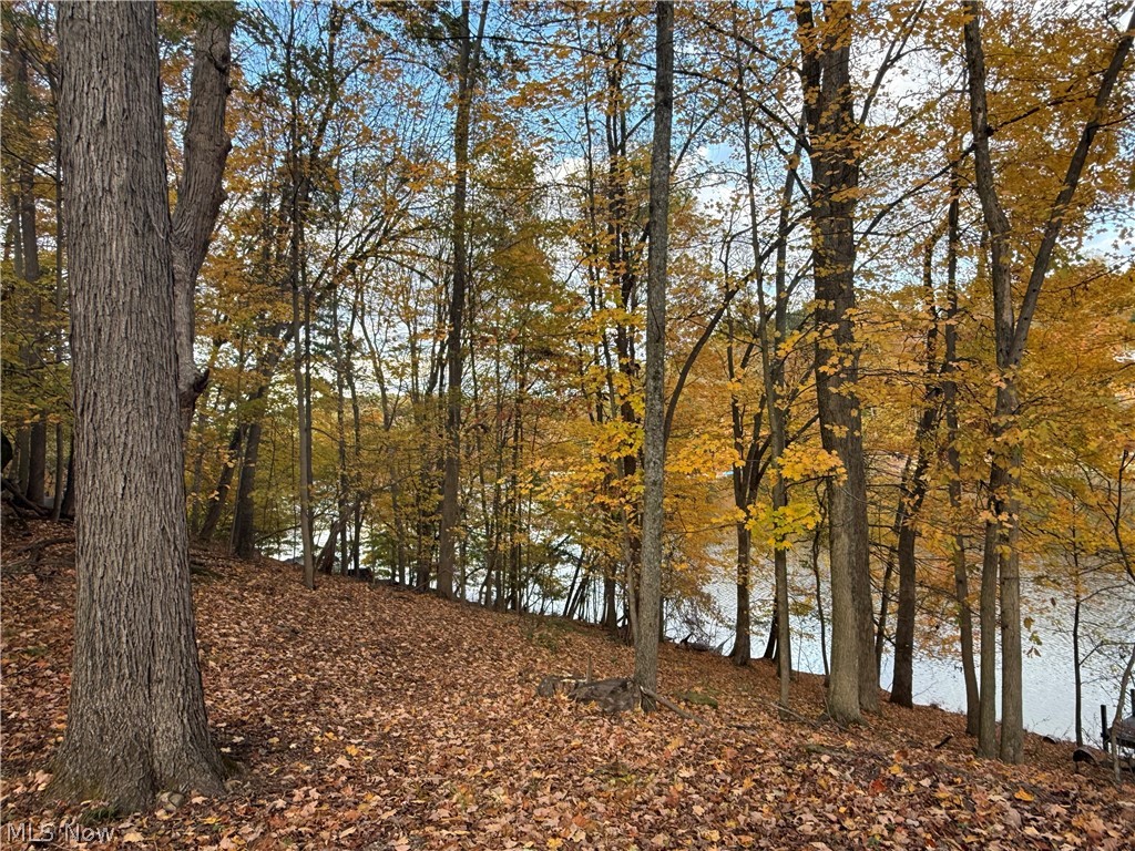 LAKE BUCKHORN - Land