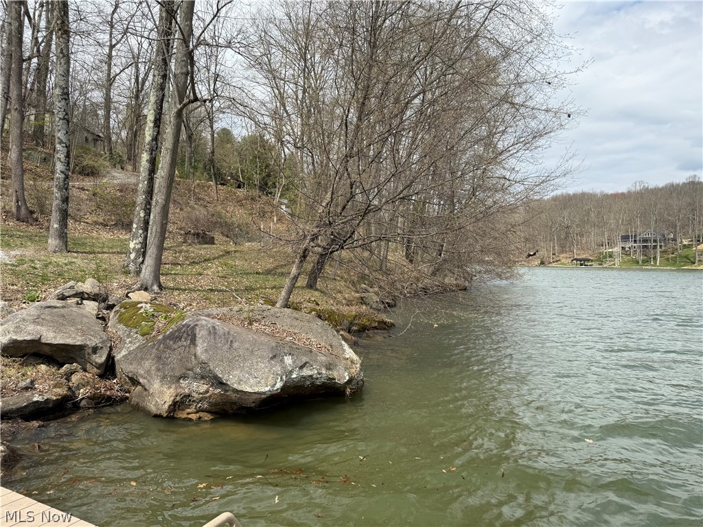 LAKE BUCKHORN - Land