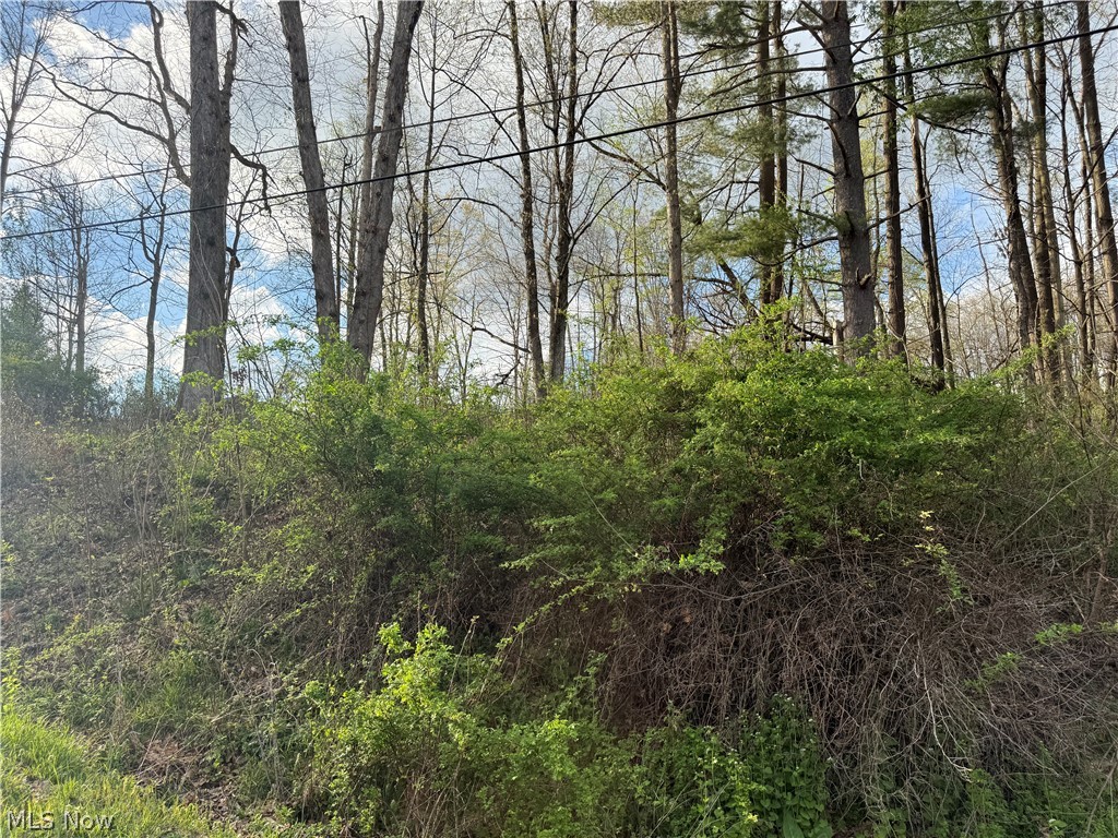 LAKE BUCKHORN - Land