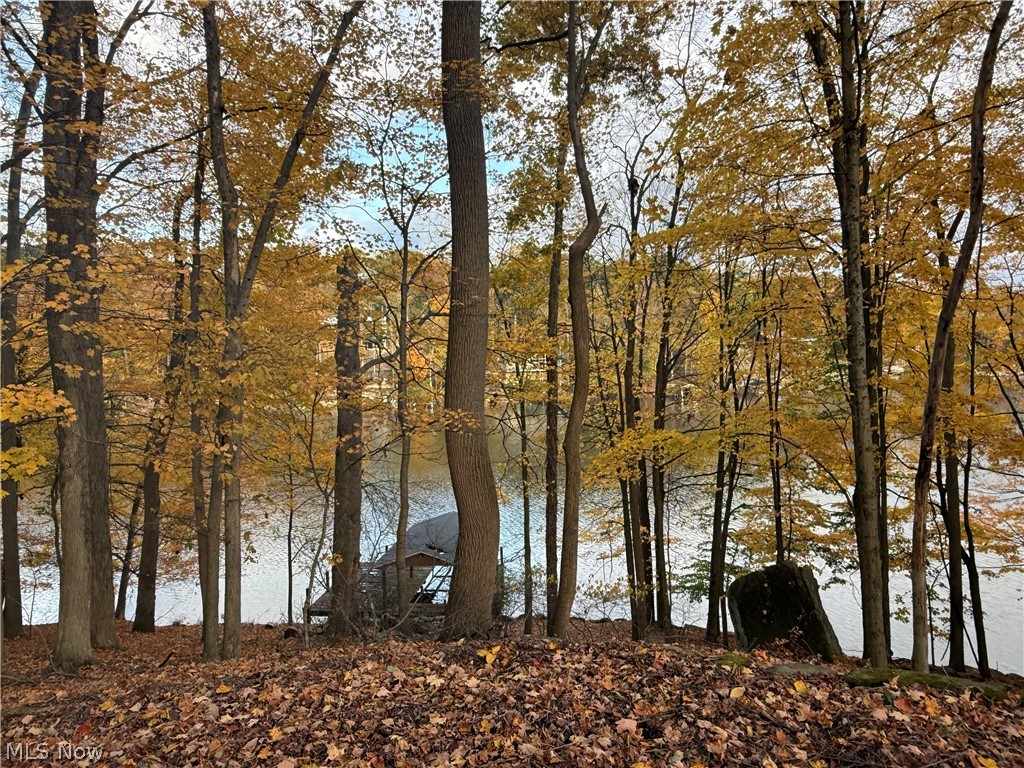 LAKE BUCKHORN - Land