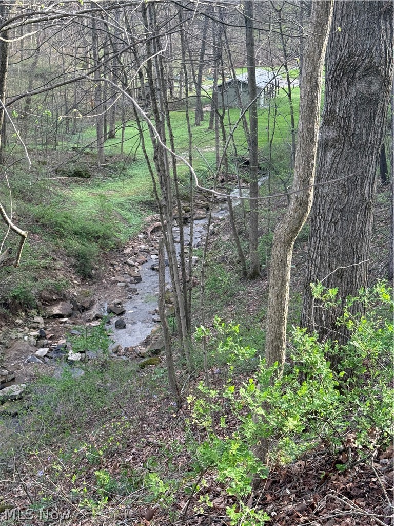 LAKE BUCKHORN - Land