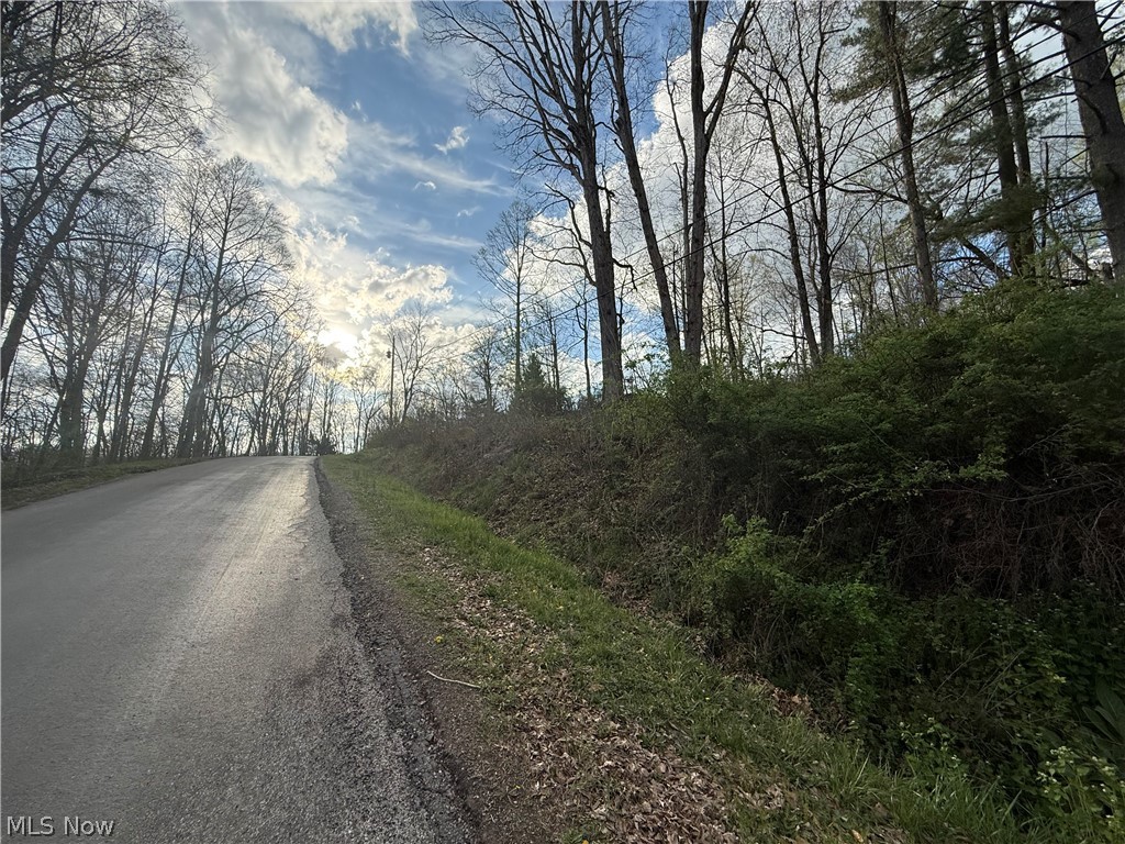 LAKE BUCKHORN - Land