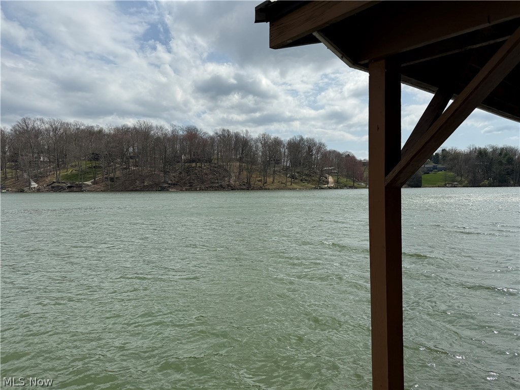 LAKE BUCKHORN - Land