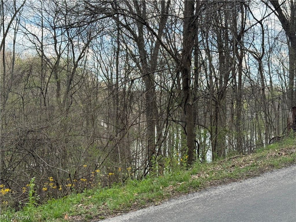 LAKE BUCKHORN - Land