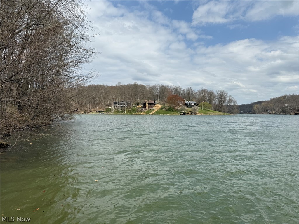 LAKE BUCKHORN - Land