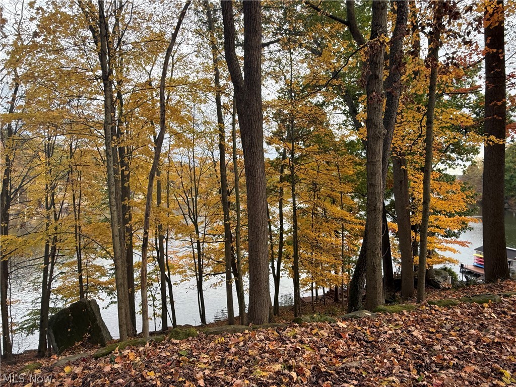 LAKE BUCKHORN - Land