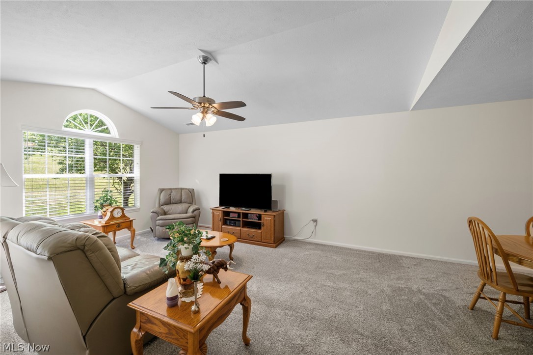 Woodbury Glen Condo - Residential