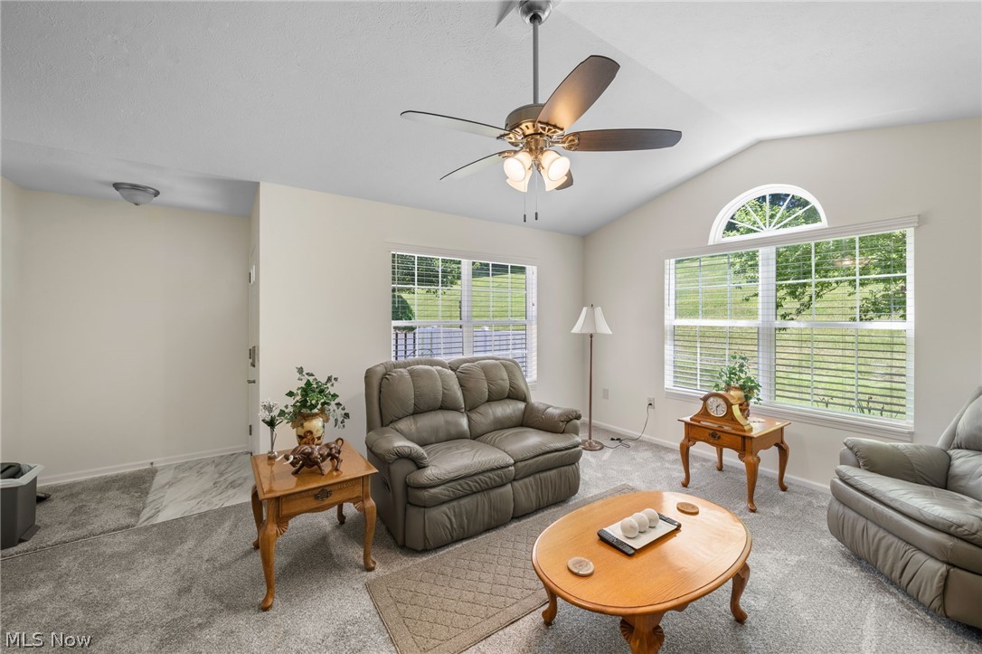 Woodbury Glen Condo - Residential