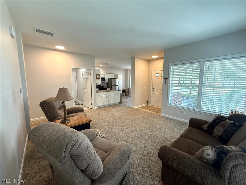 Athenian Village Condos - Residential