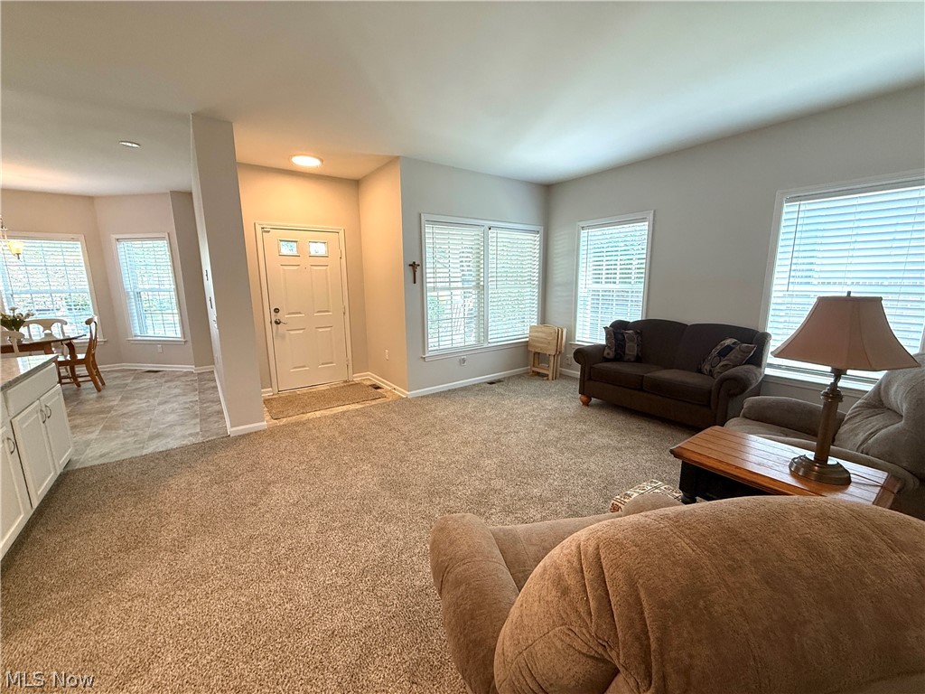 Athenian Village Condos - Residential