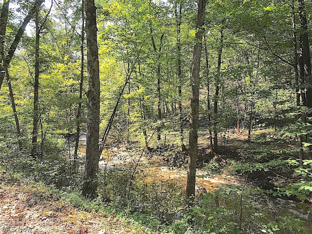 Lot 1  39 +/- acres for sale in Morgan County, Ohio. Offering quality hunting land at a great price. This property has a lot to offer. Looking to get away from town with the perfect hunting and recreational tract then this is one to have a look at. Additional acreage may also be available. Exact acreage subject to final survey. Call today before it's too​​‌​​​​‌​‌​​​‌‌​​​‌‌‌​​‌​​‌‌​​​​ late.